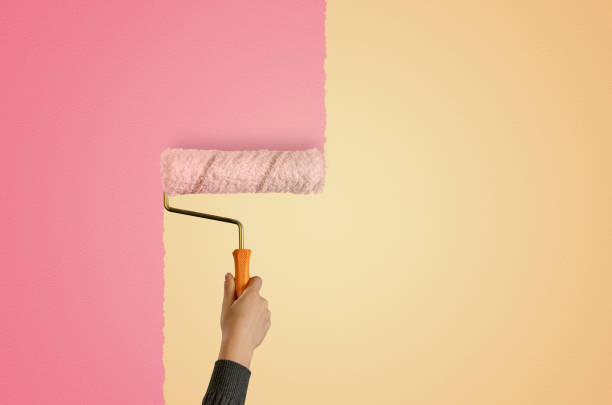 Change the Aesthetics of Your Home with Our Interior Painting Services in Gainesville