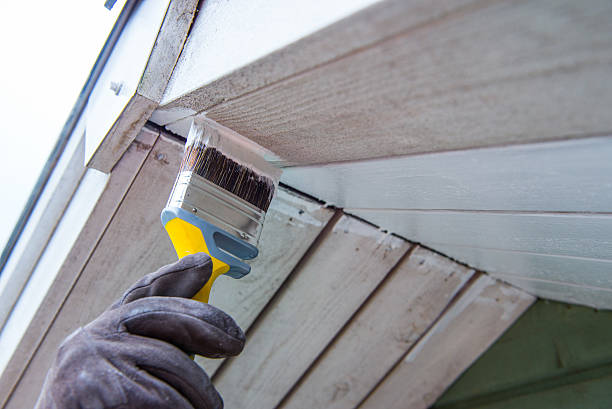 Premium Quality Interior Painting Services for Homes in Gainesville